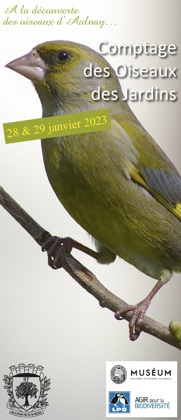 L'opération comptage des oiseaux revient en janvier 2024