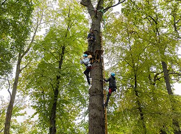 fête de l'arbre 2024